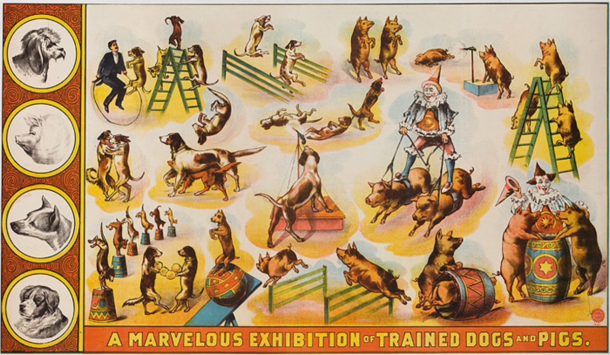 A Marvelous Exhibition of Trained Dogs and Pigs Original American Theater Poster