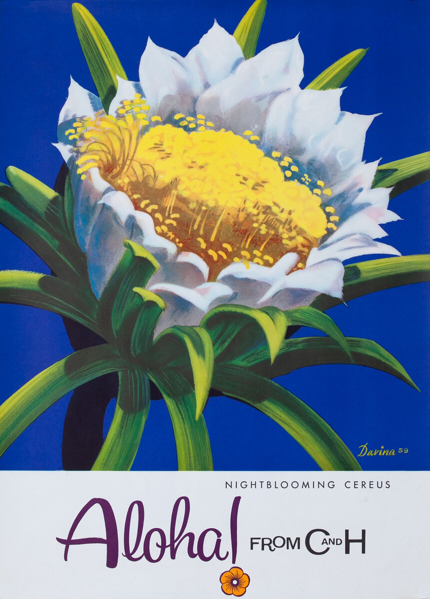 Aloha From  C & H Sugar Original American Advertising Poster Night Blooming Cereus