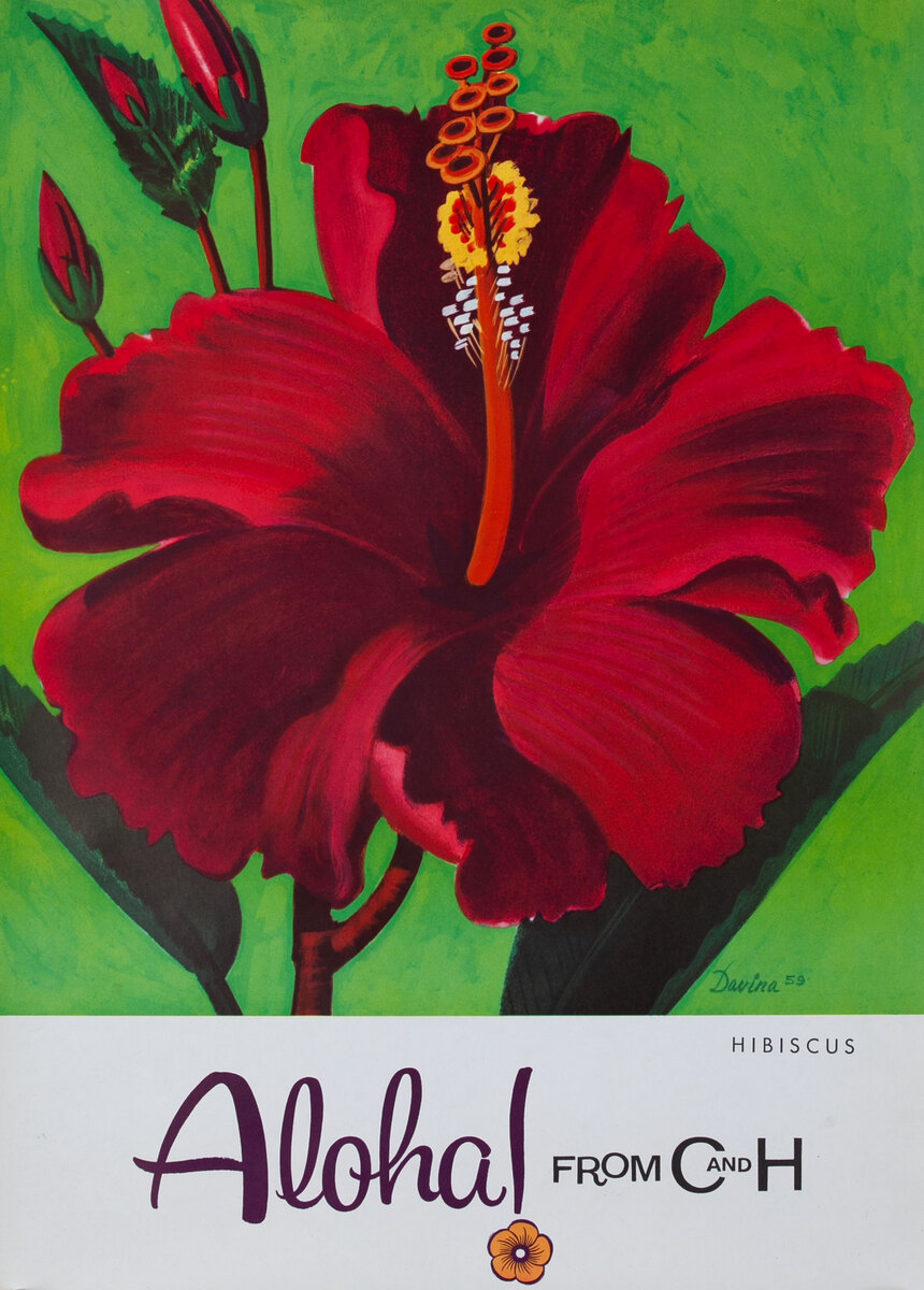 Aloha From  C & H Sugar Original American Advertising Poster Hibiscus