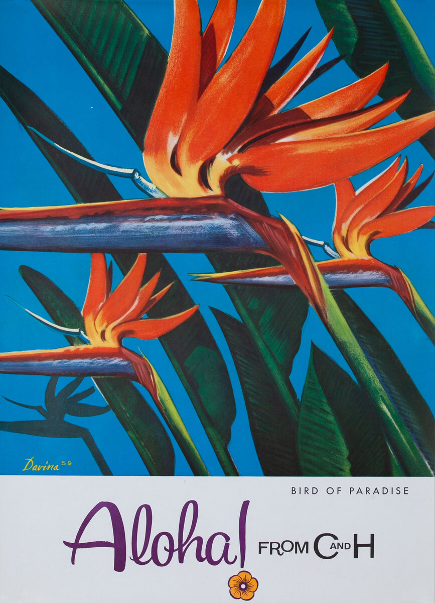 Aloha From  C & H Sugar Original American Advertising Poster Bird of Paradise