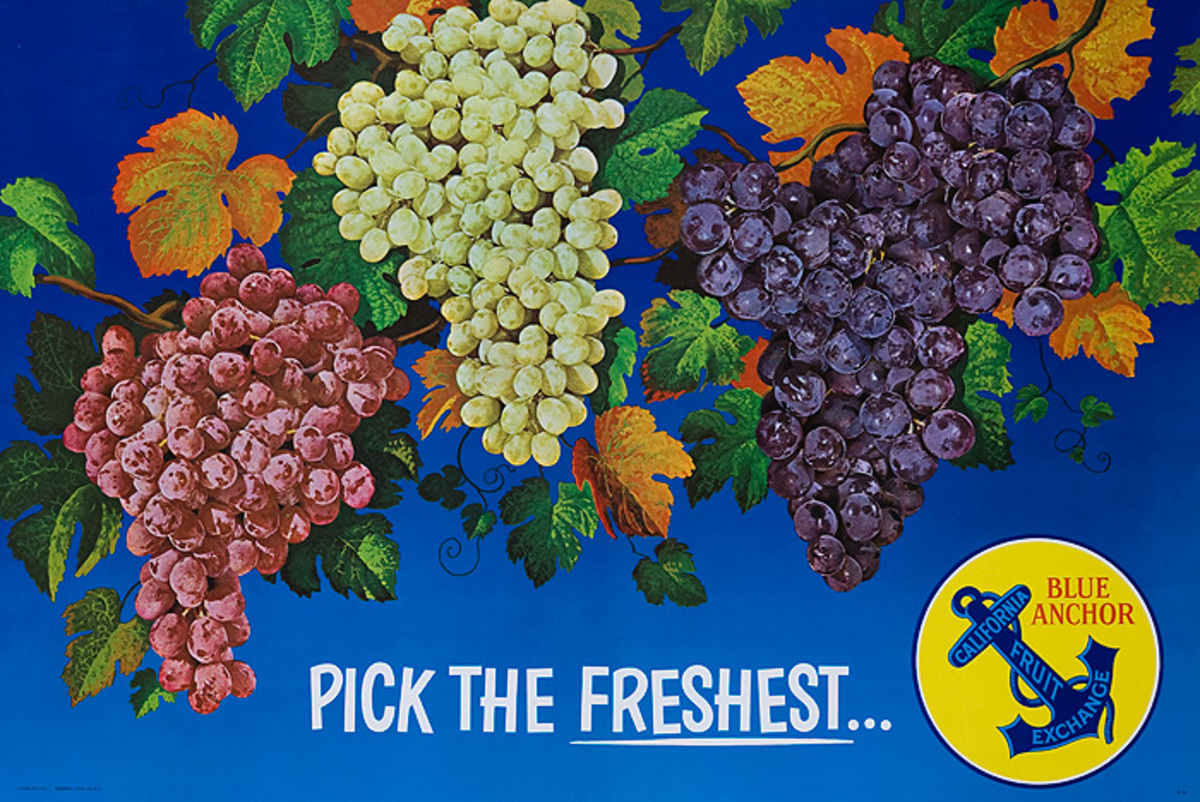 Pick the Freshest Blue Anchor California Grapes Advertising Poster