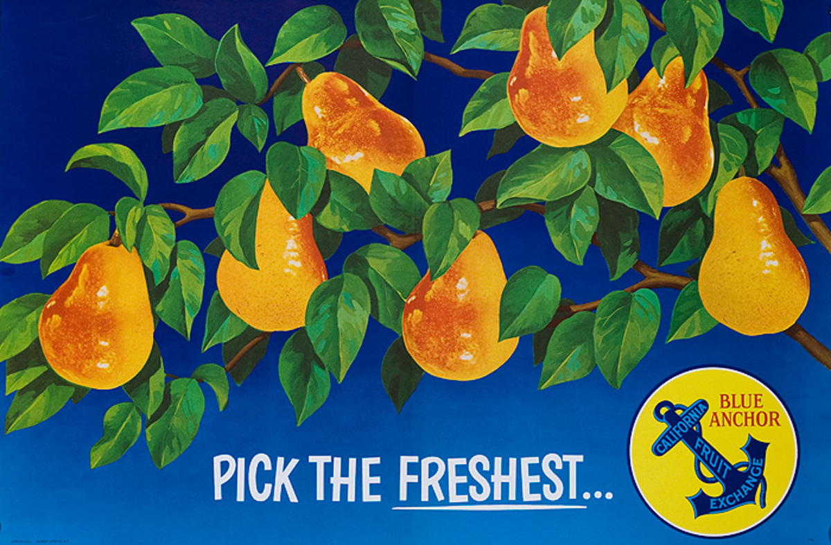 Pick the Freshest Blue Anchor California Pears Advertising Poster