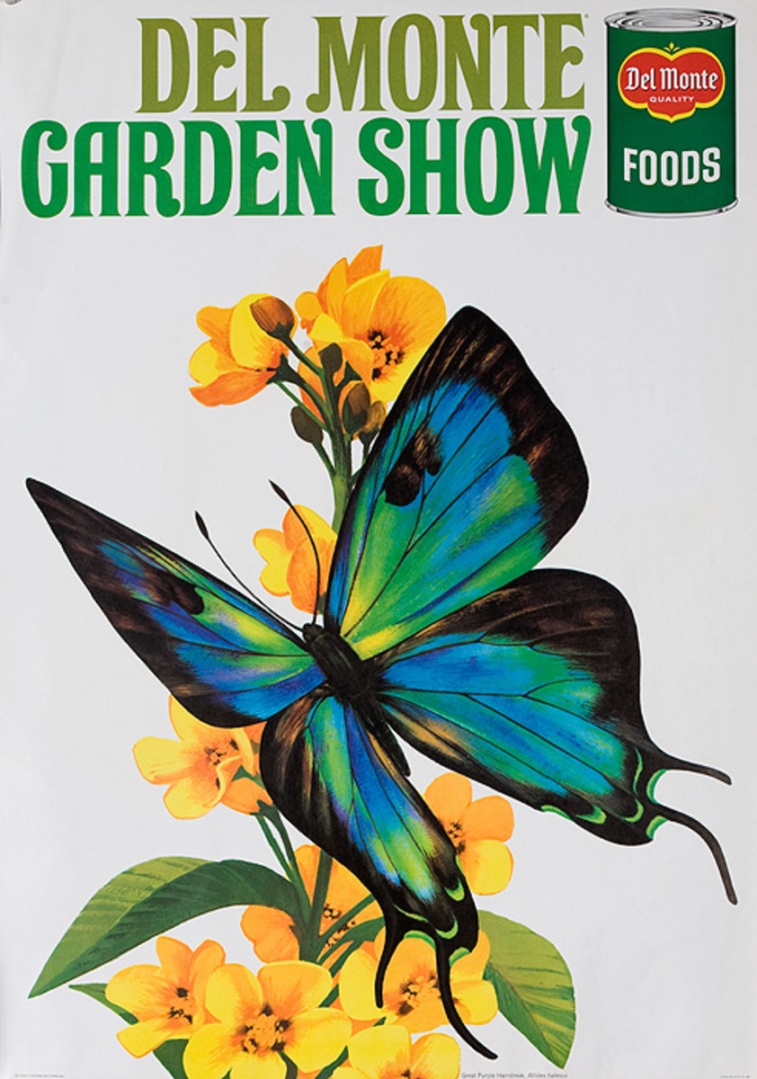 Del Monte Garden Show Original American Advertising Poster Great Purple Hairstreak Butterfly