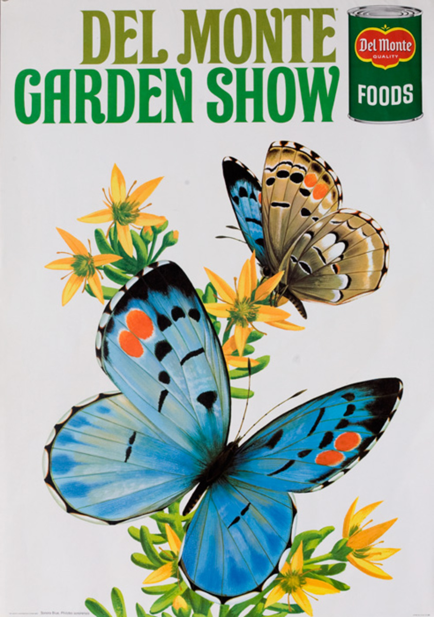 Del Monte Garden Show Original American Advertising Poster Sonora Blue Butterfly