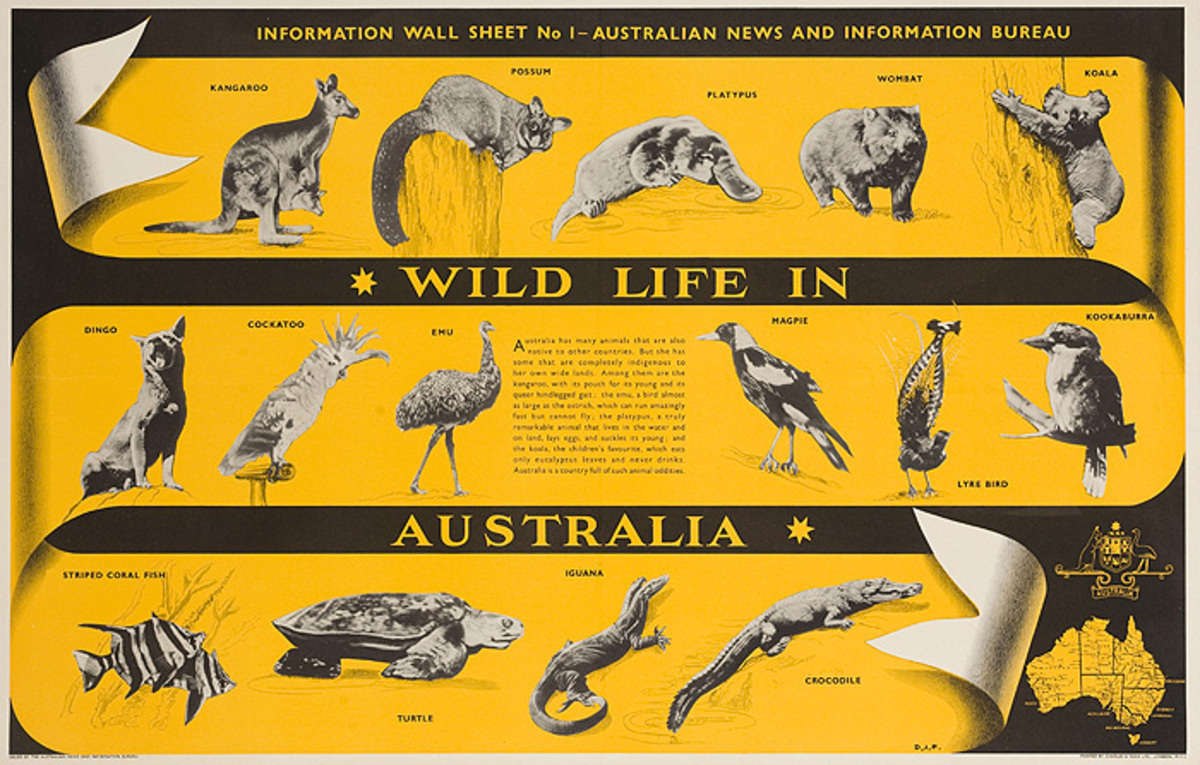 Wild Life in Australia Original Travel Poster