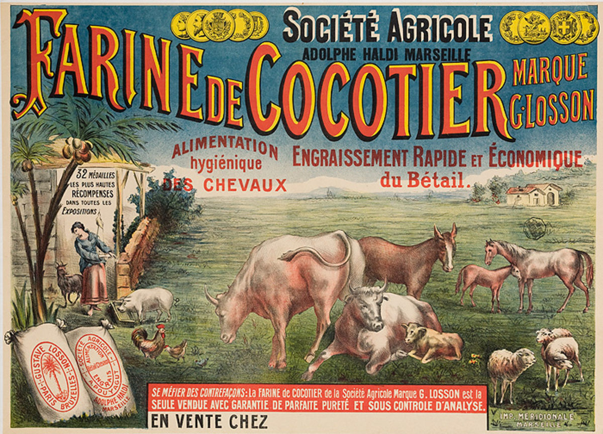 Farine de Cocotier Original French Animal Feed Poster