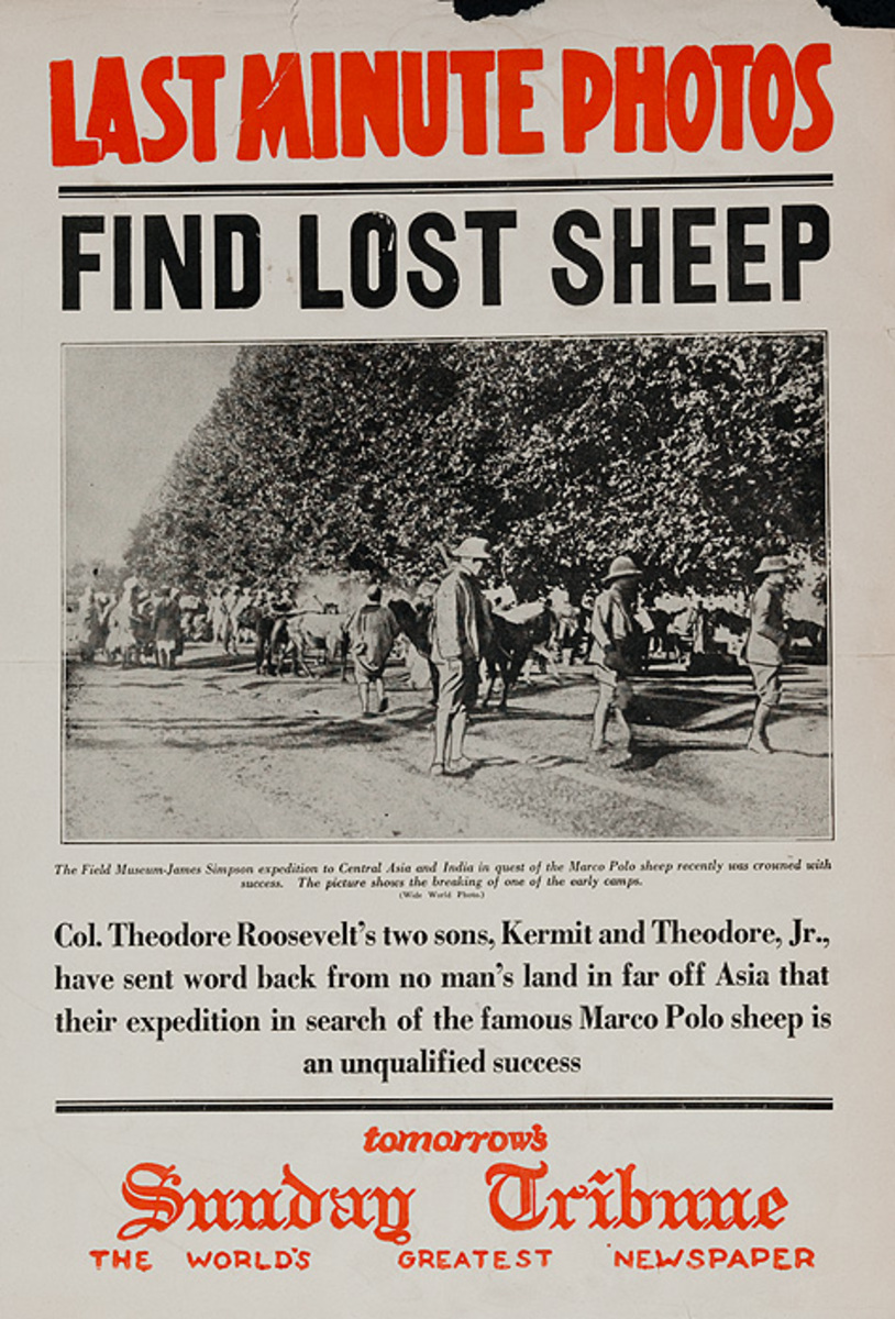 The Chicago Sunday Tribune Original Daily Newspaper Advertising Poster Find Lost Sheep