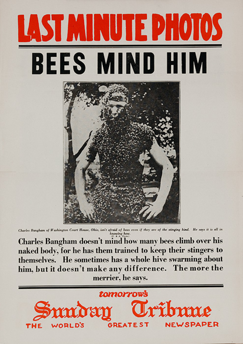 The Chicago Sunday Tribune Original Daily Newspaper Advertising Poster Bee Minder Him