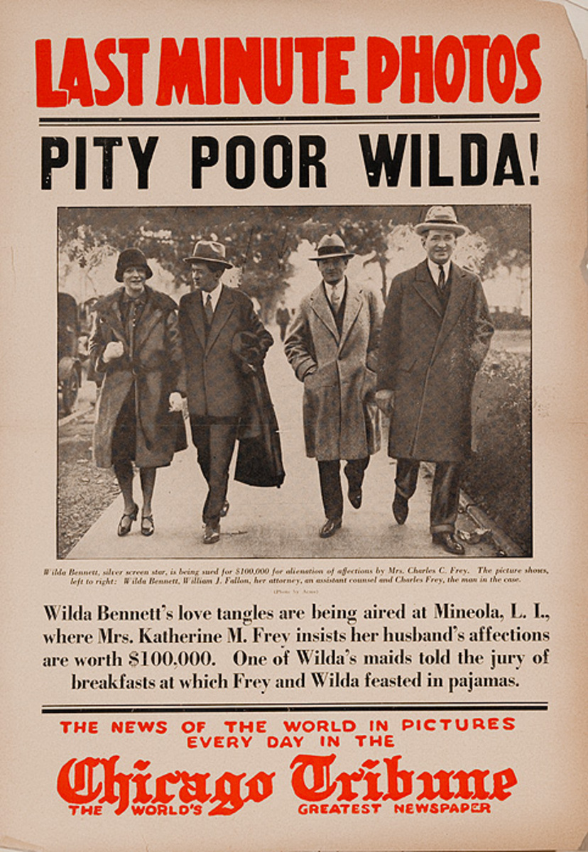 The Chicago Tribune Original Daily Newspaper Advertising Poster Pity Poor Wilds!