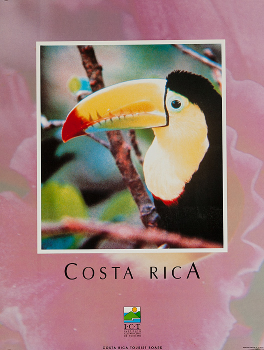 Costa Rica Original Travel Poster Beach bird