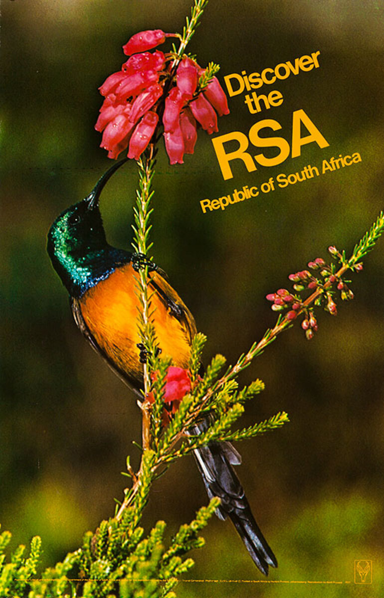 Original South Africa Travel Poster Discover RSA Bird