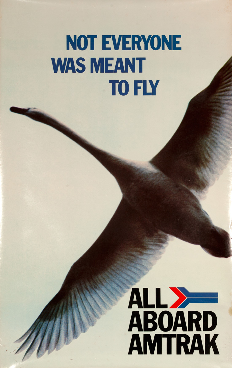 Not Everyone Was Meant to Fly Original Amtrak Rail Poster