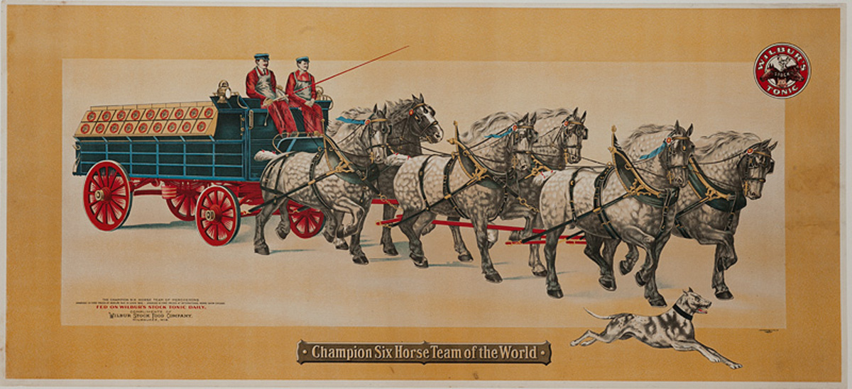 Wilbur's Tonic Original American Advertisng Poster Champion Six Horse Tem of the World