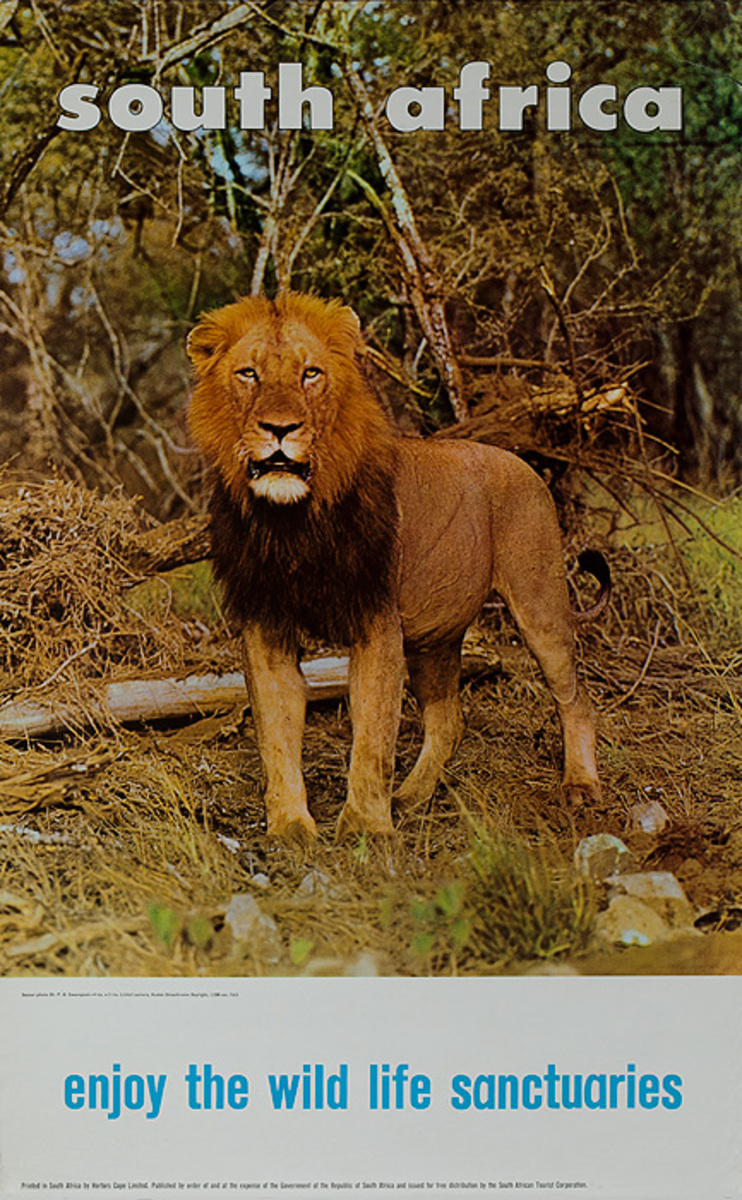South Africa Travel Poster, Enjoy the Wild Life Sanctuaries Lion 